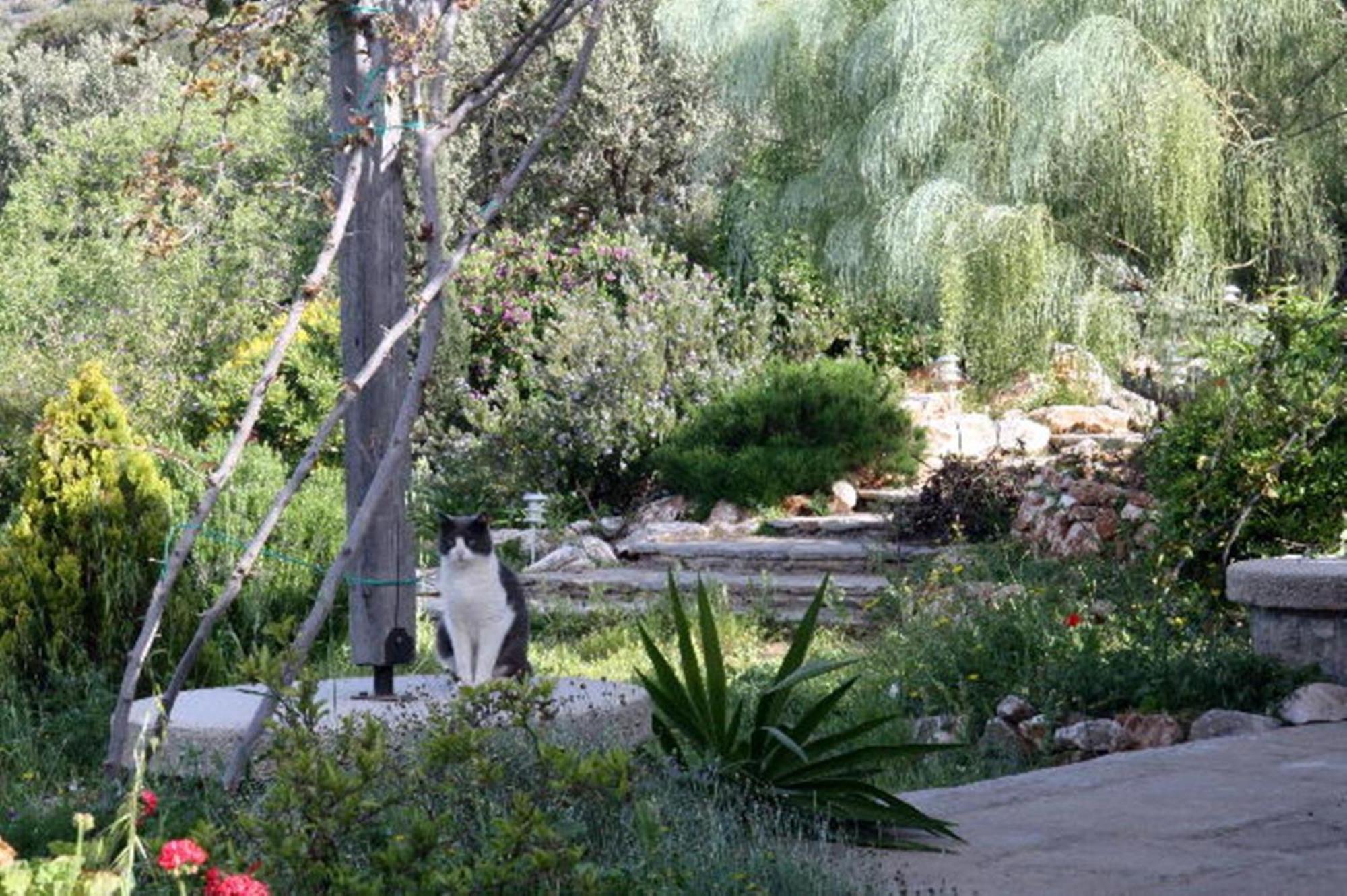 To The Garden Guest House Angairiá Eksteriør bilde